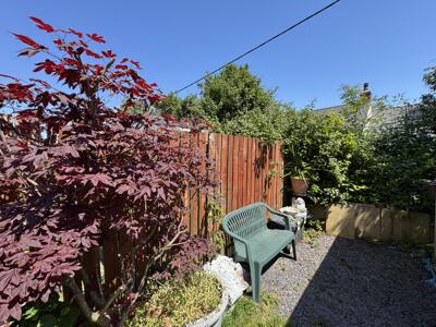Picture 22